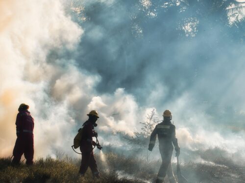 ANPASS realiza recomendaciones de salud y seguridad ante el incendio de Los Garres en Murcia